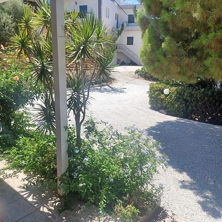 איסטרו Cozy Apartments מראה חיצוני תמונה