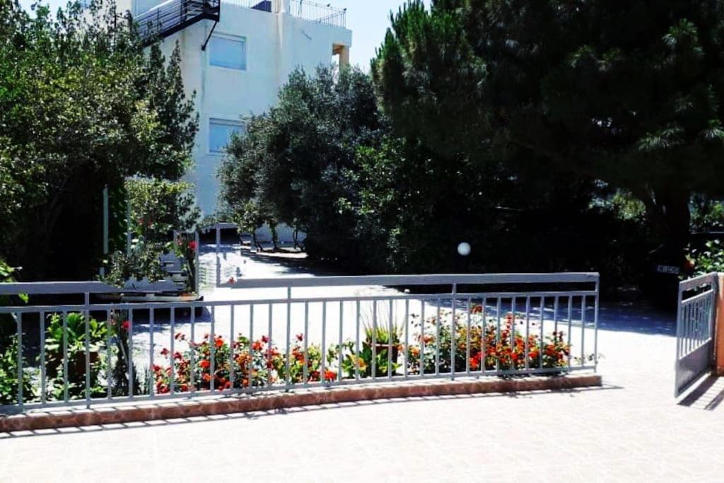 איסטרו Cozy Apartments מראה חיצוני תמונה