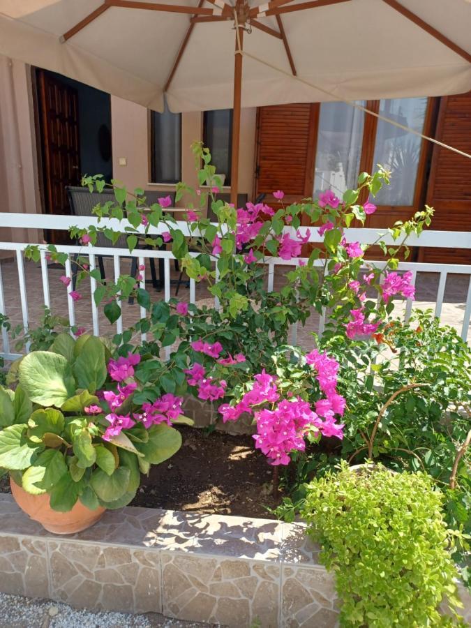 איסטרו Cozy Apartments מראה חיצוני תמונה